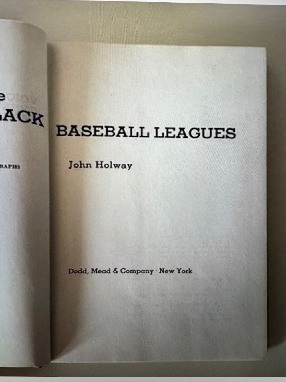 Voices From The Great Black Baseball Leagues - Picture 3 of 8